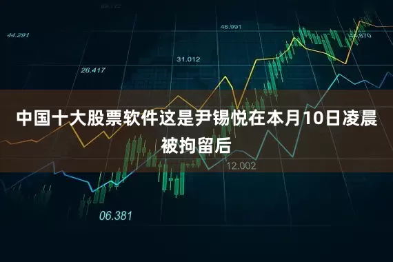 中国十大股票软件这是尹锡悦在本月10日凌晨被拘留后